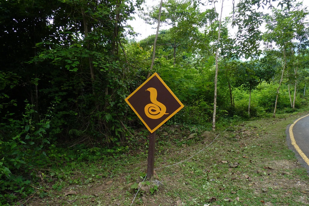 Hadi na silnici - Národní park
Erawan, Thajsko 2010